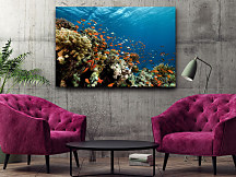 obraz koralový útes more oceán